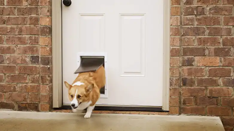 how much is a doggy door