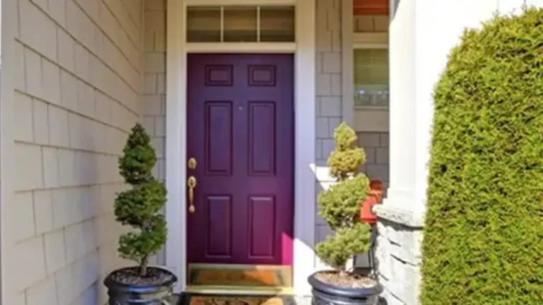 [ANSWERED] What Does a Purple Door Mean? 